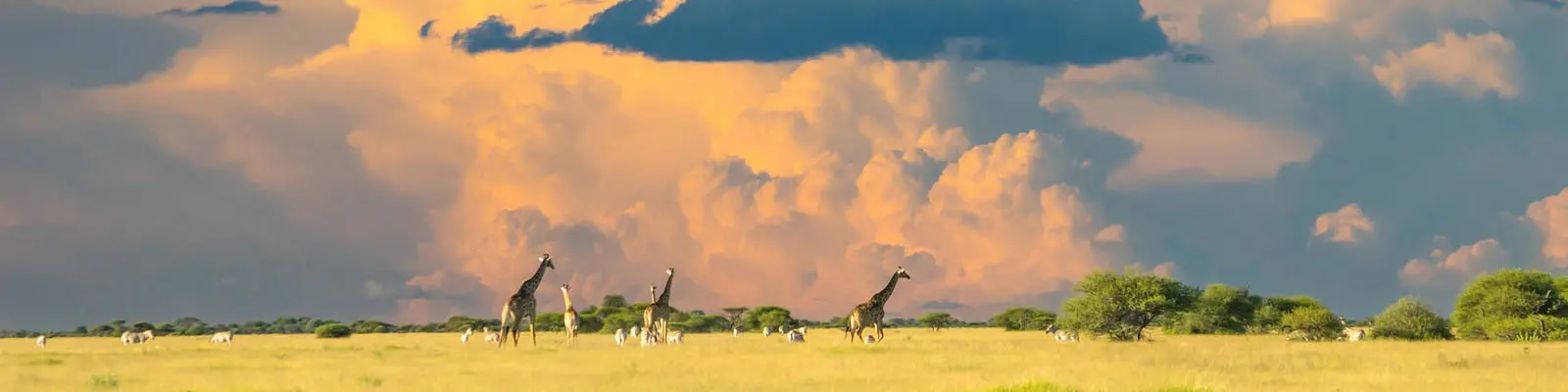 Botswana&nbsp;Immigration and Visas