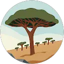 saleh islam profile picture