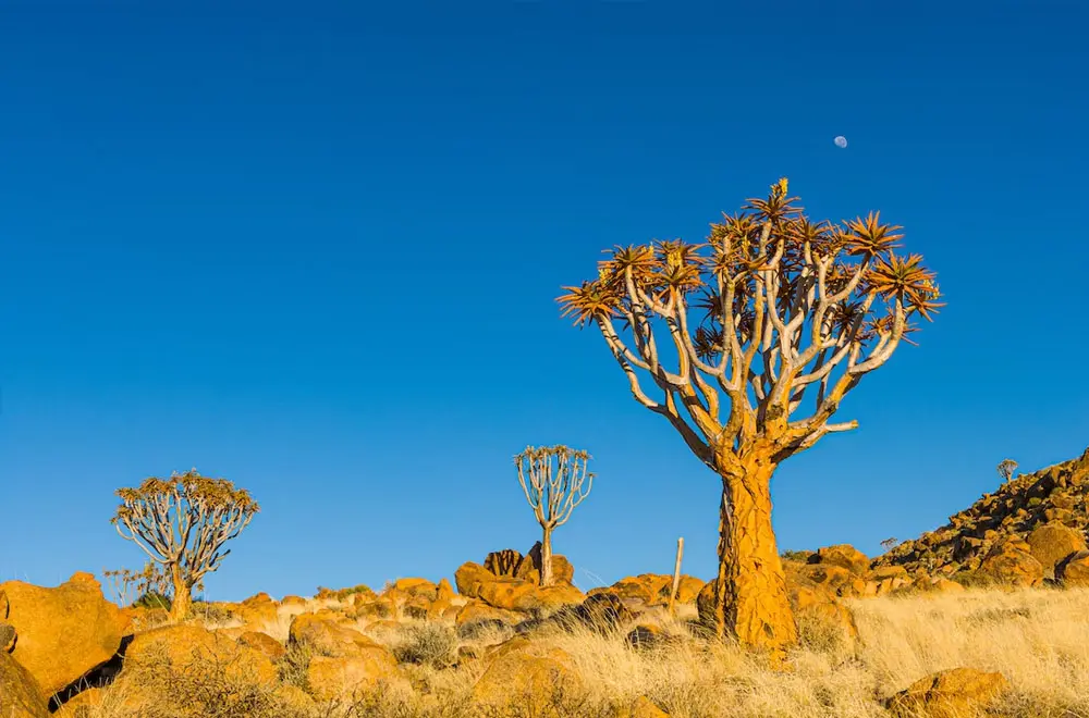 17 Cultural Differences to Expect in Namibia