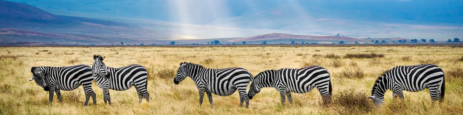 Tanzania Immigration and Visas