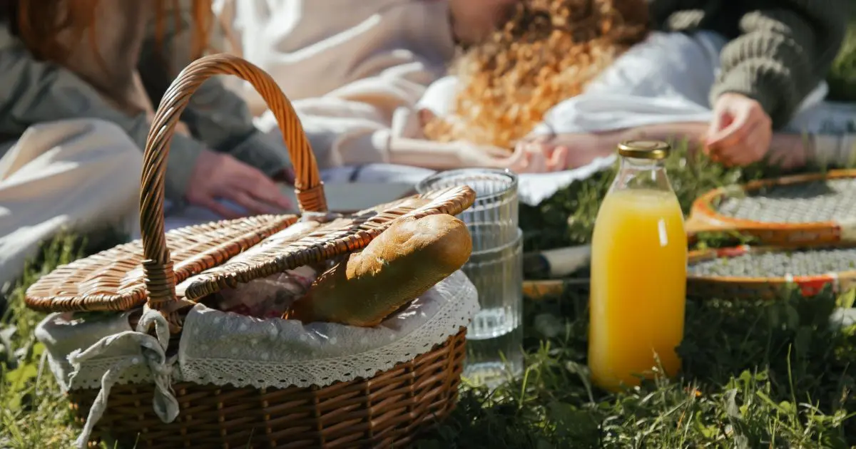 The Non-Toxic Picnic Guide
