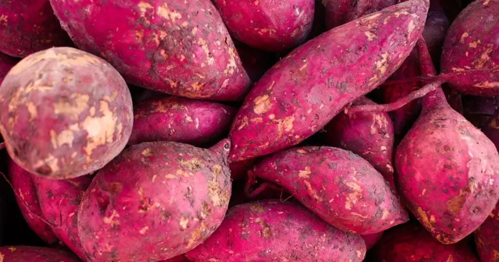 Purple Potatoes: Health Benefits and Antioxidants