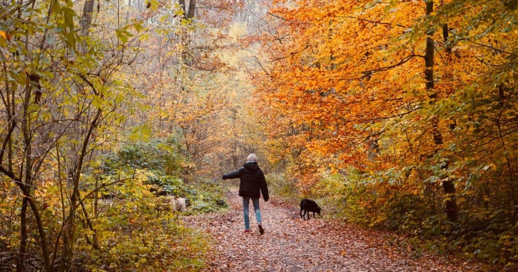 How to Lower Cortisol Naturally: 7 Simple Ways to Manage Stress