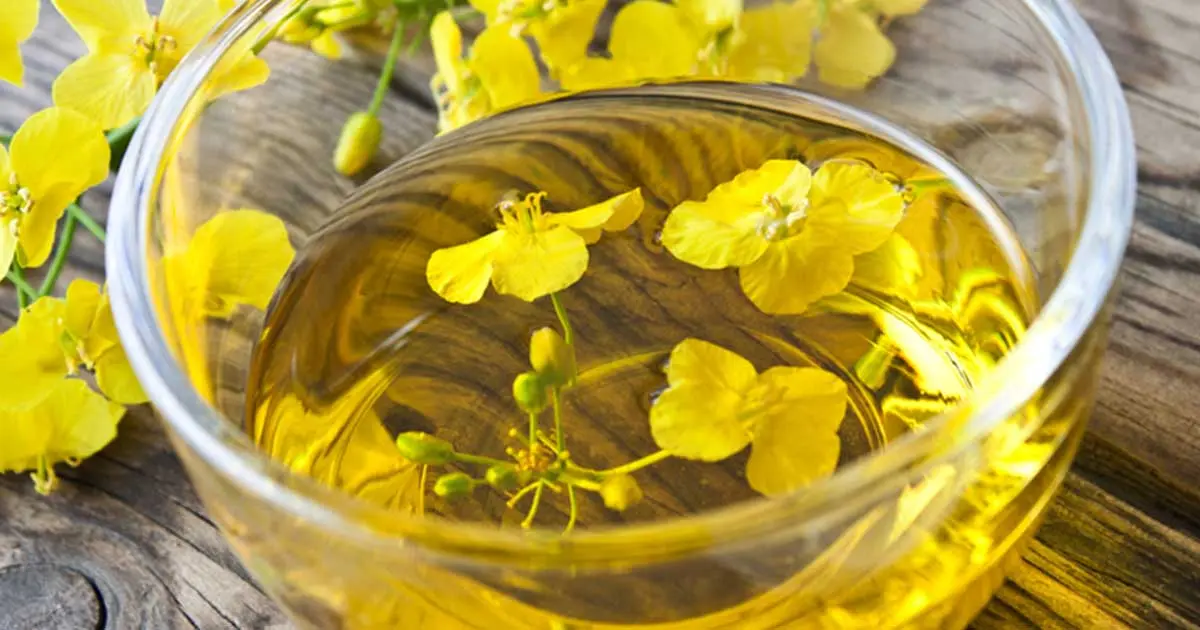 A Dad's Guide to Canola Oil: What You Need to Know for Your Family's Kitchen