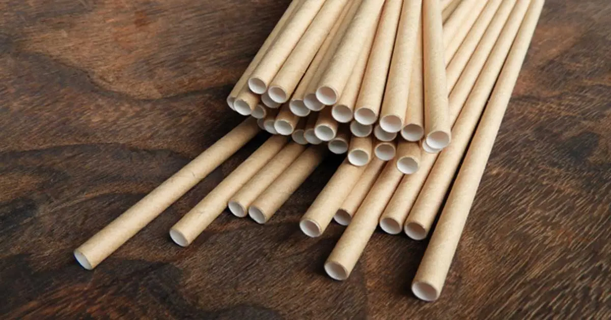 The Downside of Paper Straws