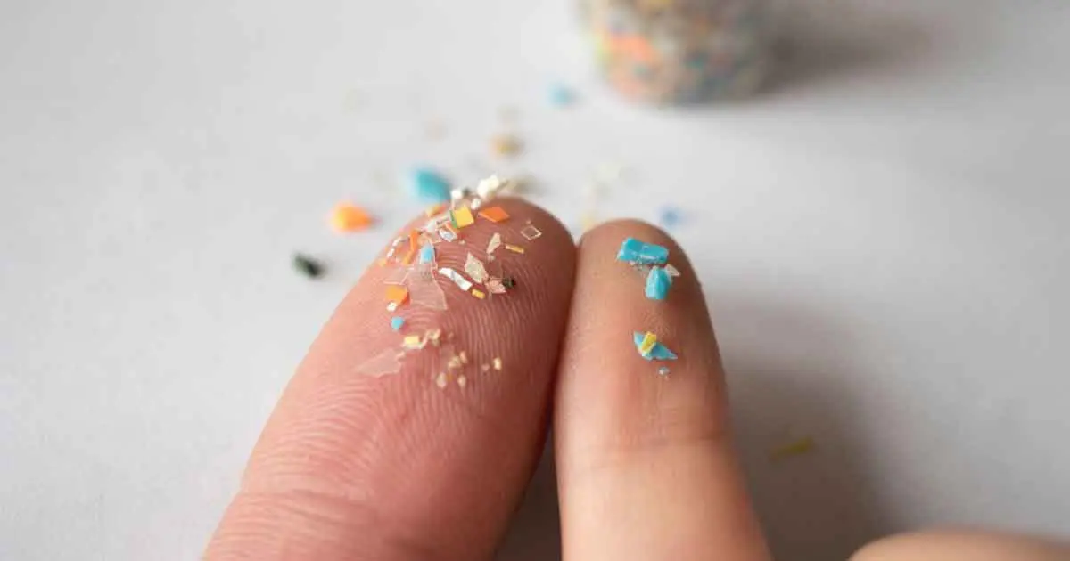 Plastic on the Body or Plastic in the Body