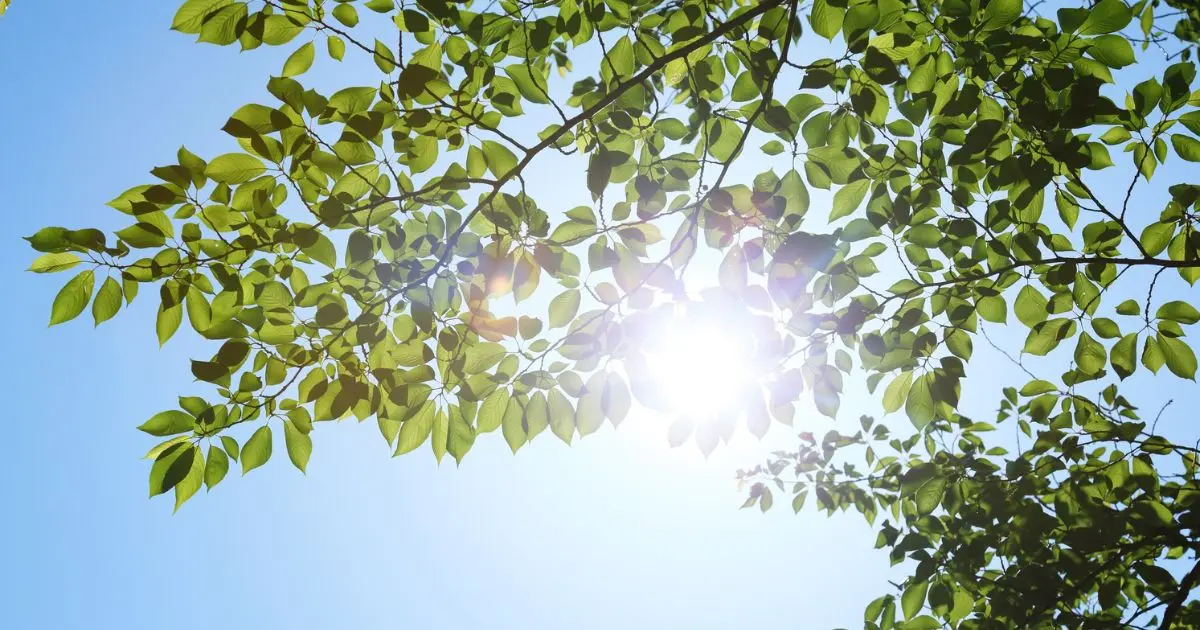 Modern Sunlight Problem