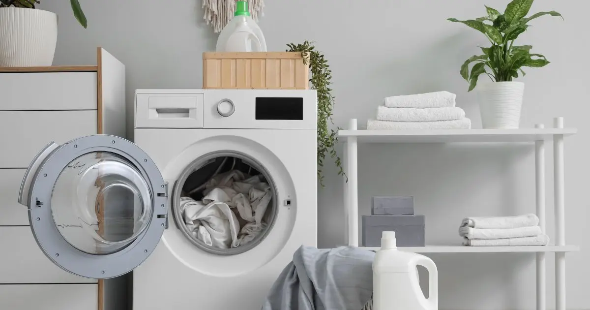 That Moldy Smell in the Laundry Room Is a Warning Sign