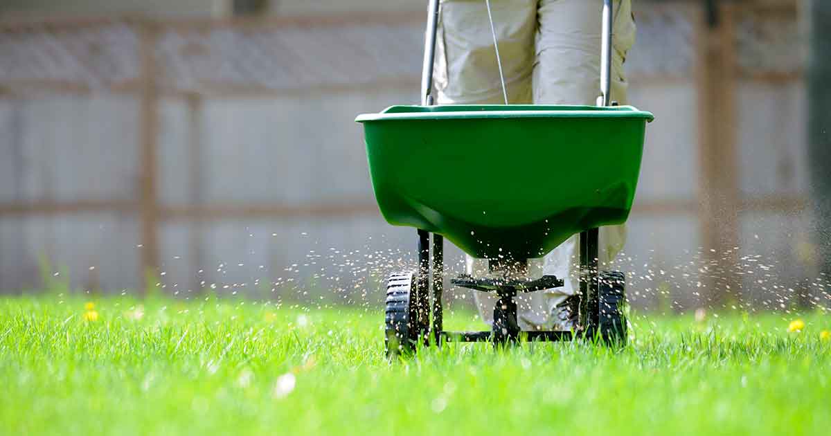 3 Lawn Products to Stop Using for Your Health and the Planet