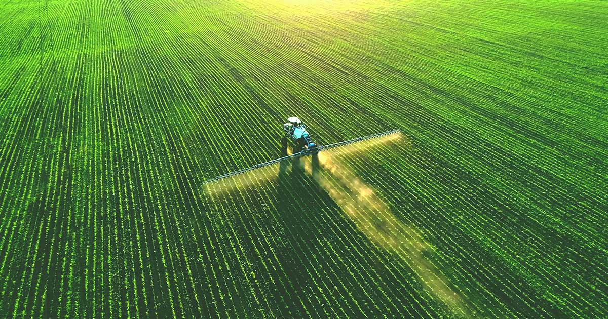 American vs. UK Farms: Pesticide Standards and Residue