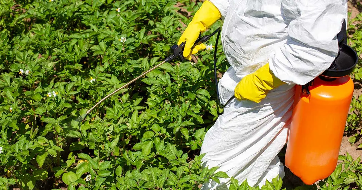 Glyphosate: The Hidden Threat to Your Gut and Health