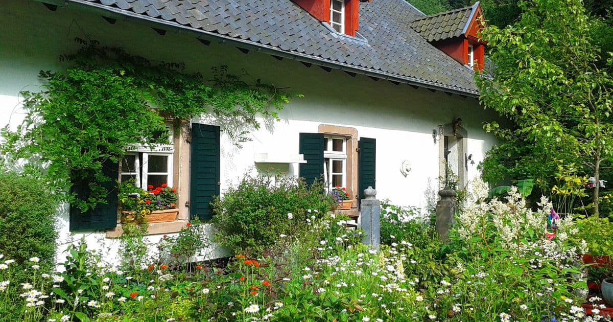 The Spring Swap-Out: A Practical Reset for a Healthier Home