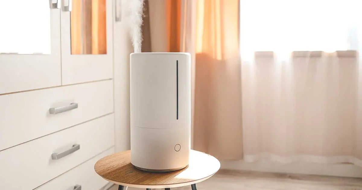 The Hidden Dangers of Humidifiers
