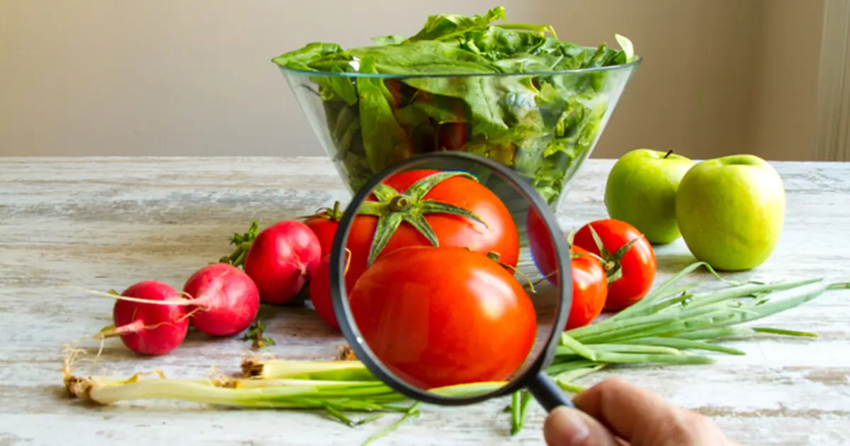 Decoding Freshness: A Dad’s Deep Dive into Apeel