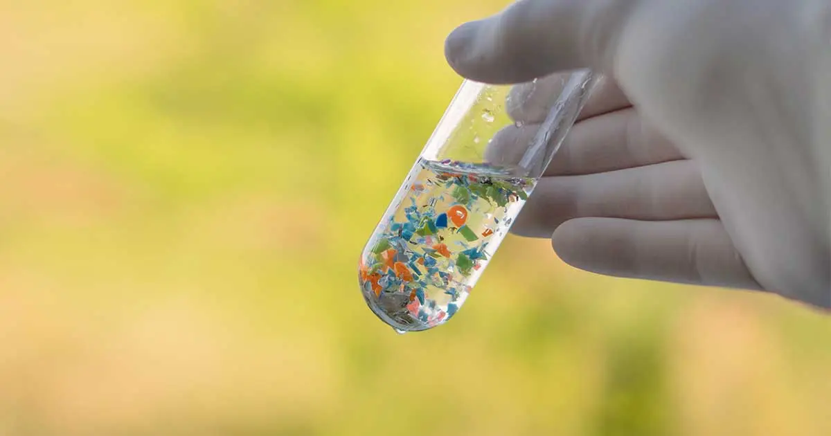 Microplastics in the Family Jewels: What You Need To Know