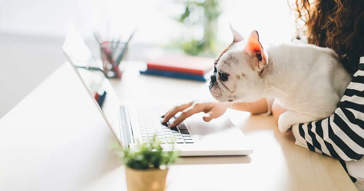 EMFs & Pets: Keeping Your Furry Friend Safe