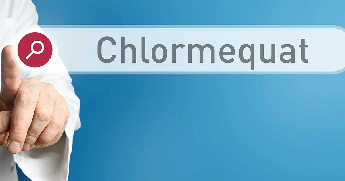 Invisible Danger: Chlormequat Chloride in Our Pantry