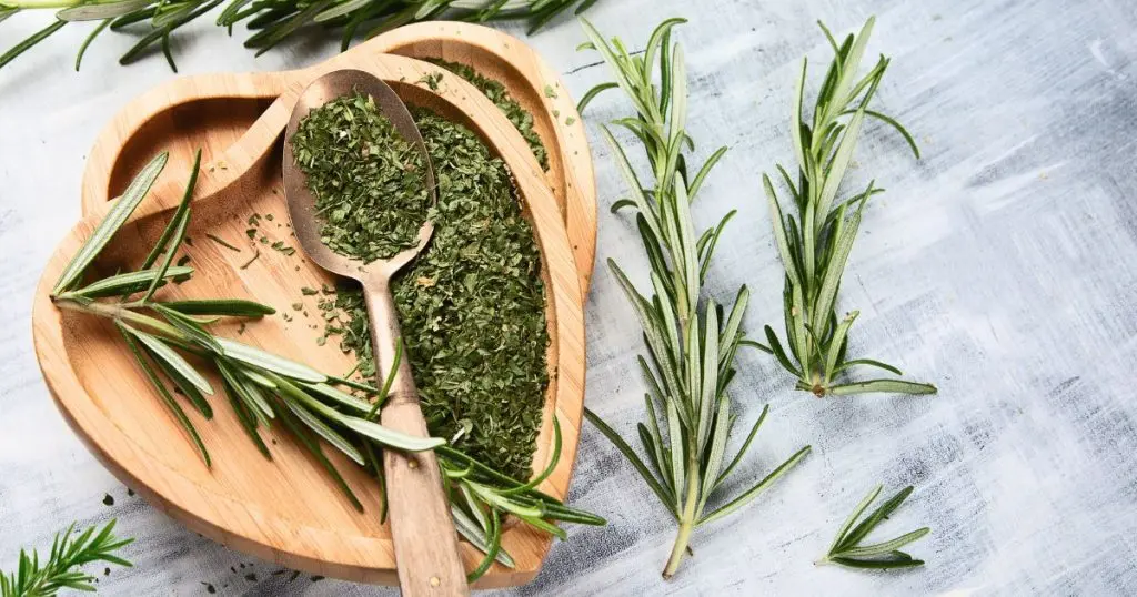 Can Rosemary Aroma Improve Memory and Focus?