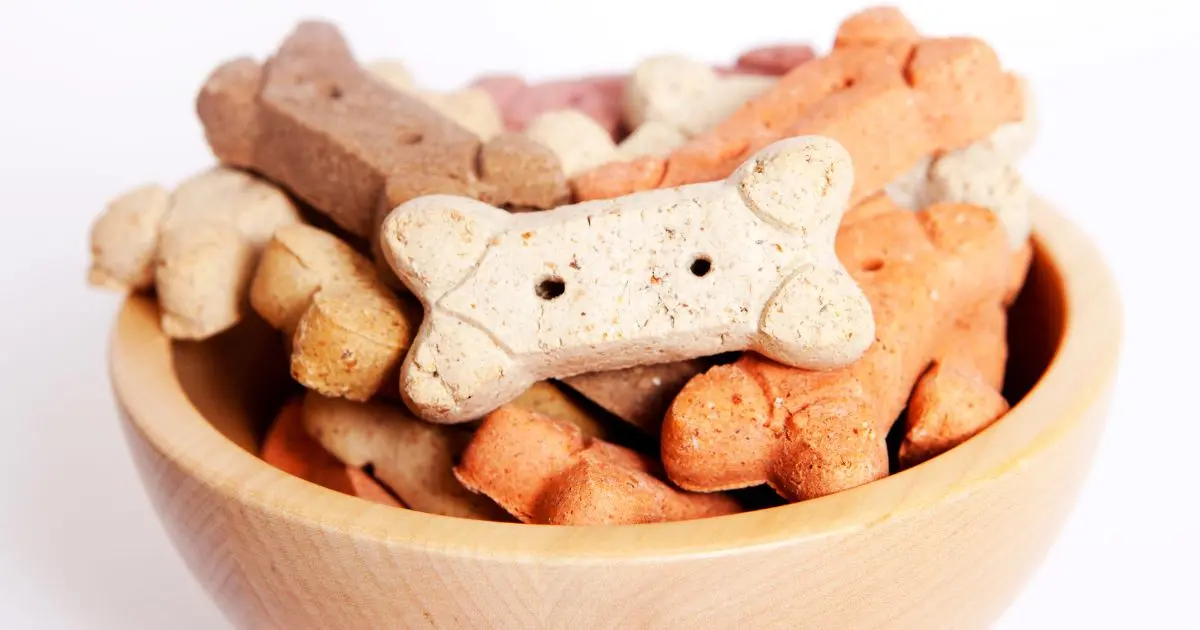 Non-Toxic Homemade Dog Treats