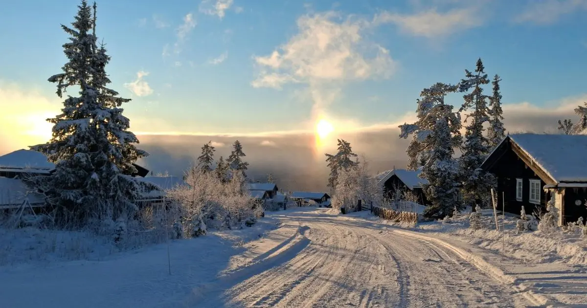 Understanding Seasonal Affective Disorder in the Depth of Winter