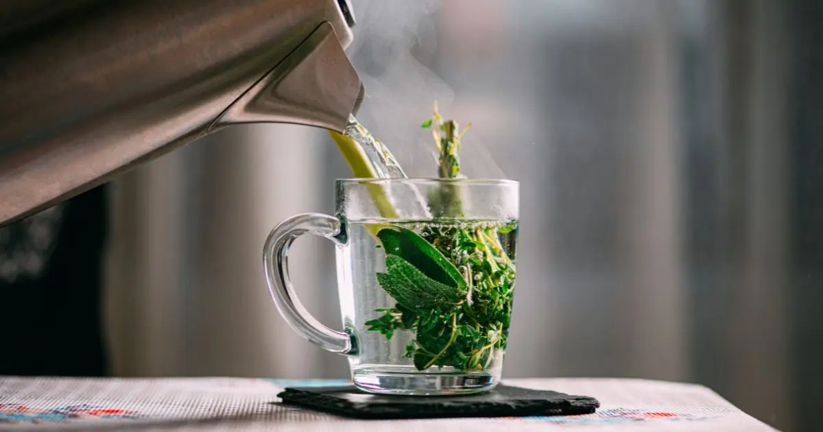 How to Use Rosemary and Thyme Beyond Cooking