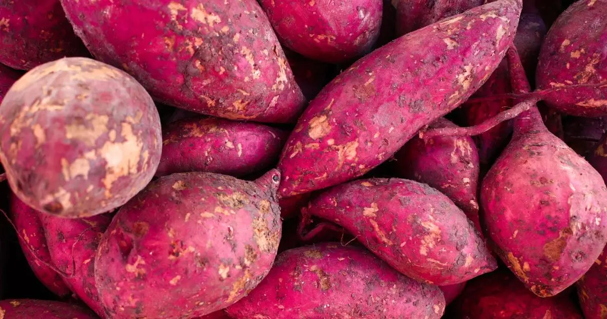 Purple Potatoes: Health Benefits and Antioxidants