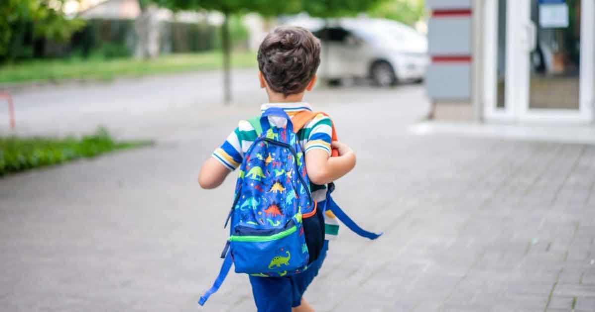 Backpack Toxins: What You're Missing (and How to Fix It)