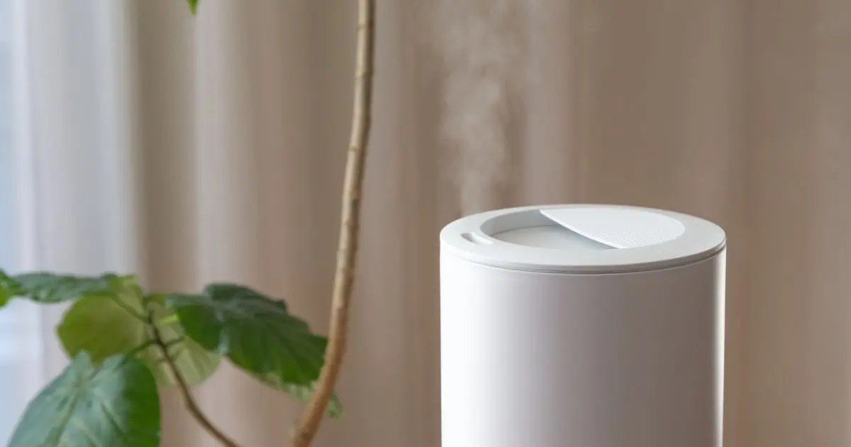 Why Humidifiers Deserve a Second Look