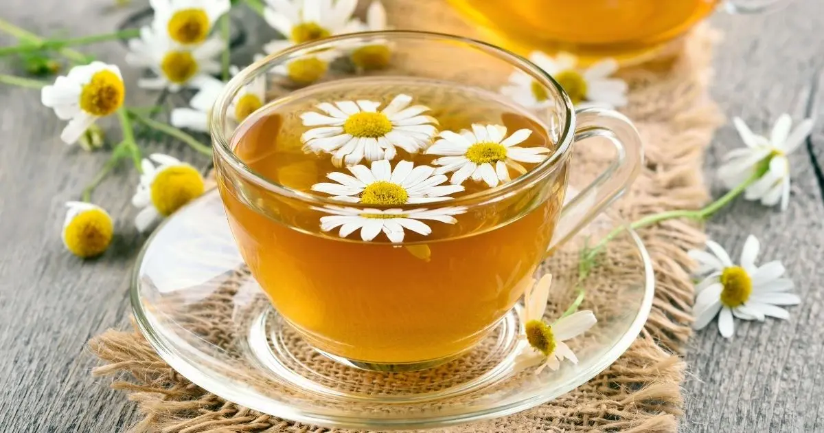 Restful Nighttime Sleep Tea