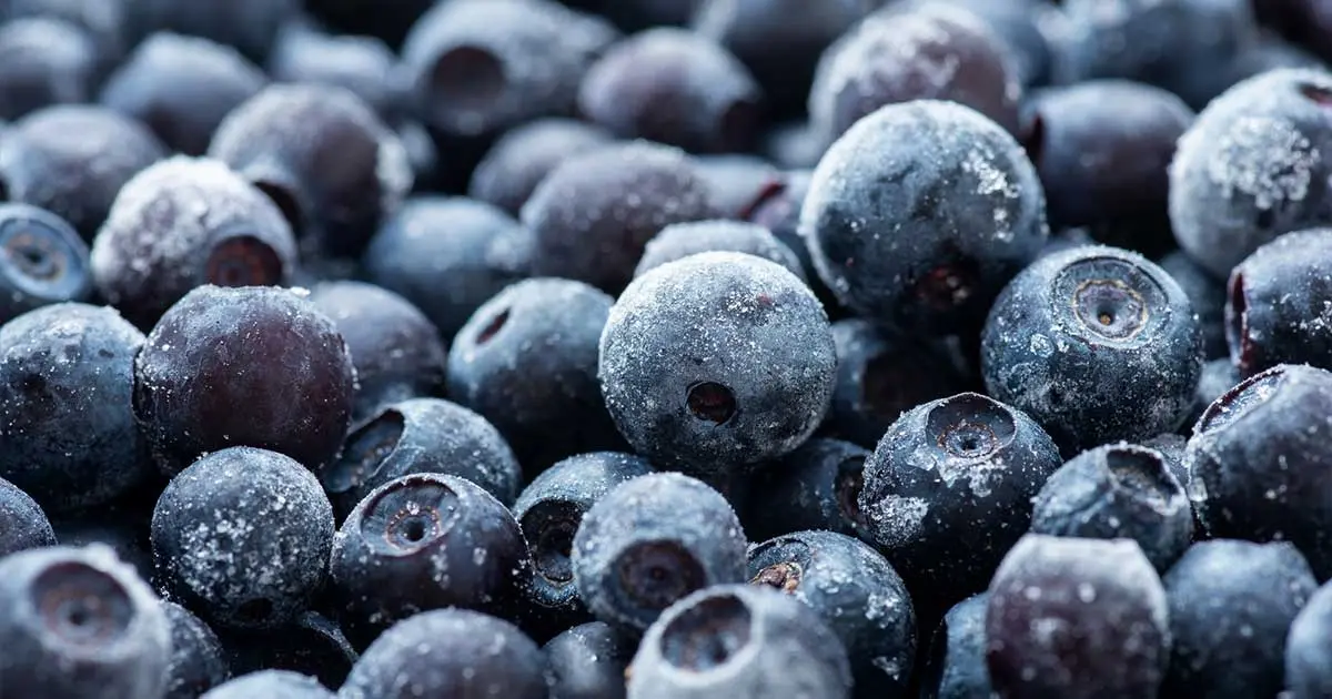 Frozen Blueberries