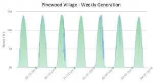 pinewood