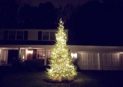 The perfect Christmas tree glowing from thousands of white led lights