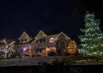 red and white christmas lights on bushes and trees