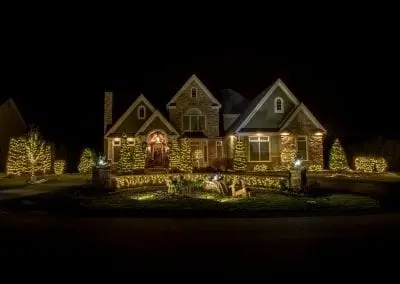 Decorating every bush for christmas with white lights