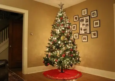 Interior decorated live tree from The Christmas Guys in Schenectady NY