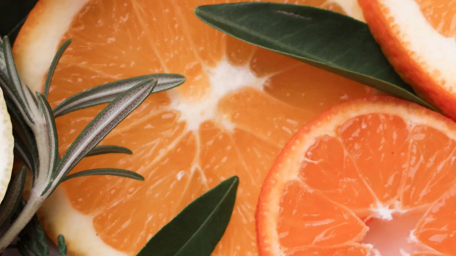 Close-up photograph of fresh citrus slices, green leaves, and rosemary