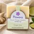 Ginger Lime handmade soap bar by Plumera Essentials