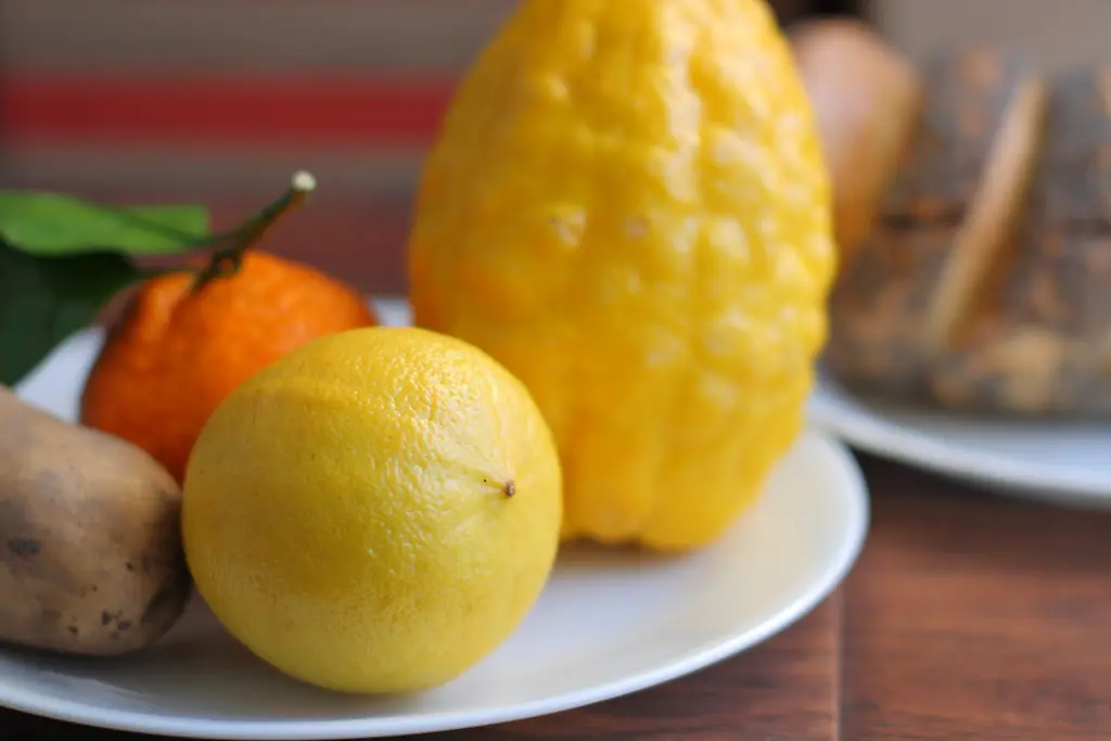 Fresh bergamot citrus arranged for a plant-forward solid perfume balm concept