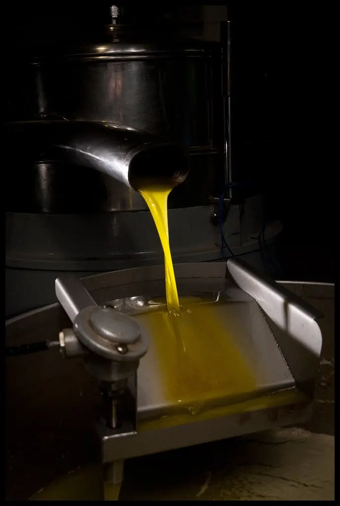 Fresh golden olive oil flowing from a stainless-steel mill spout