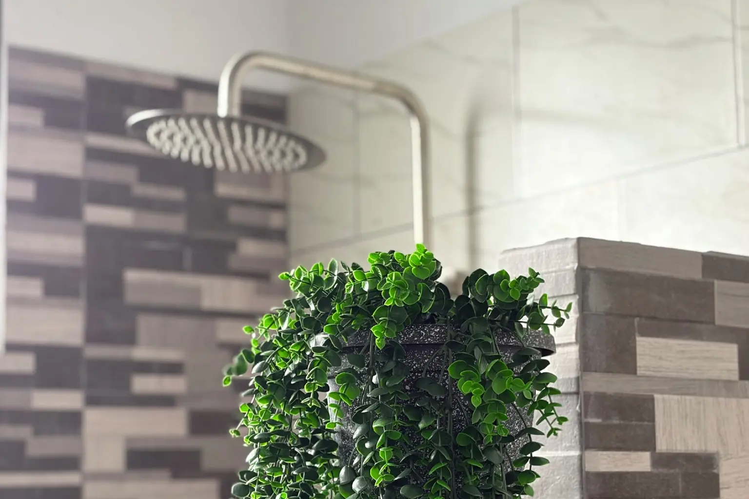 Green plant on a tiled bathroom ledge with a showerhead in the background