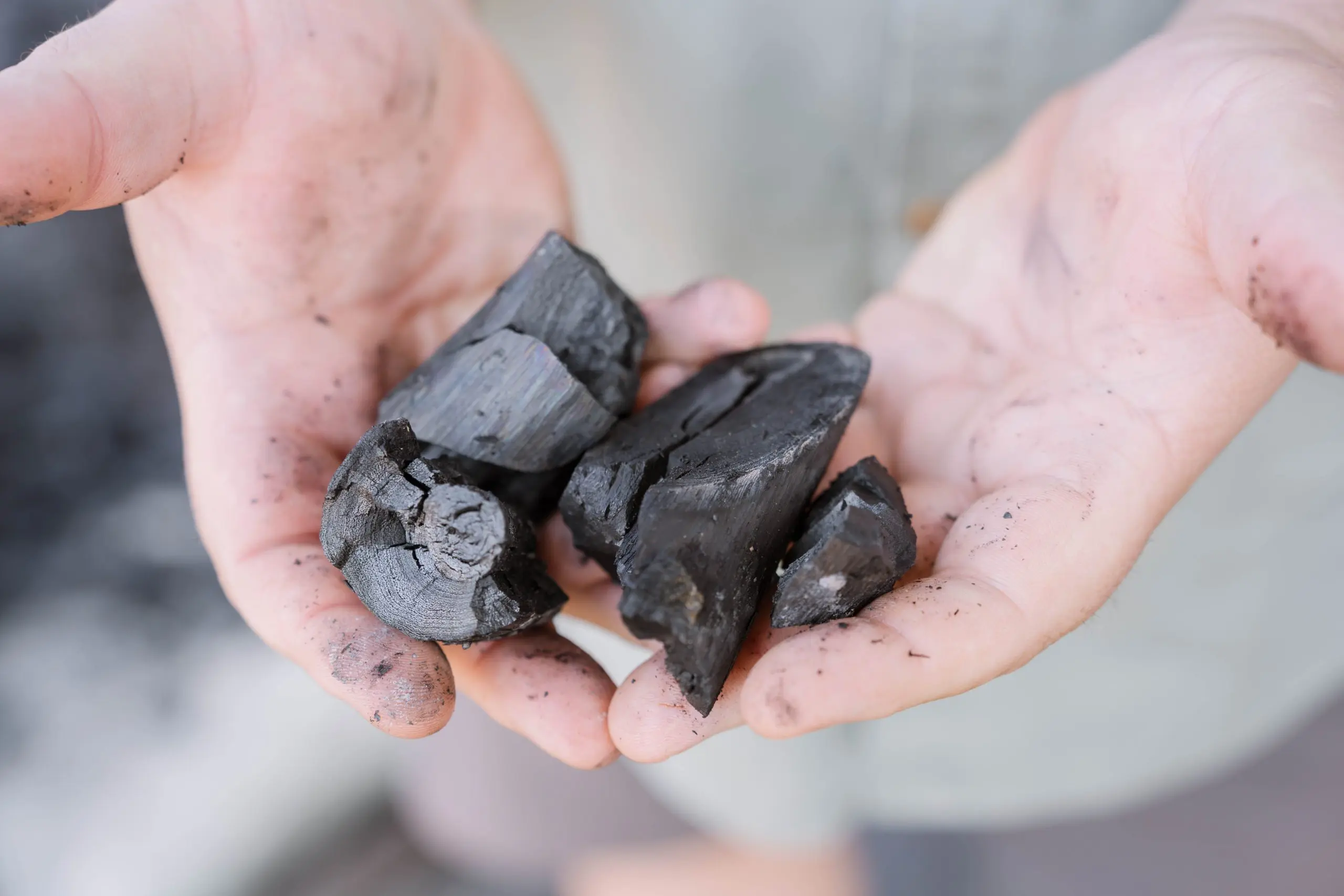 Hands holding natural charcoal pieces for an activated charcoal ingredient guide