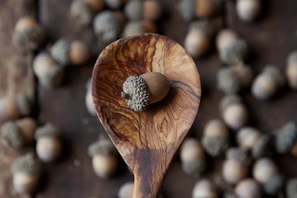 An acorn in a wooden spoon with softly blurred acorns behind it, showing autumn textures.
