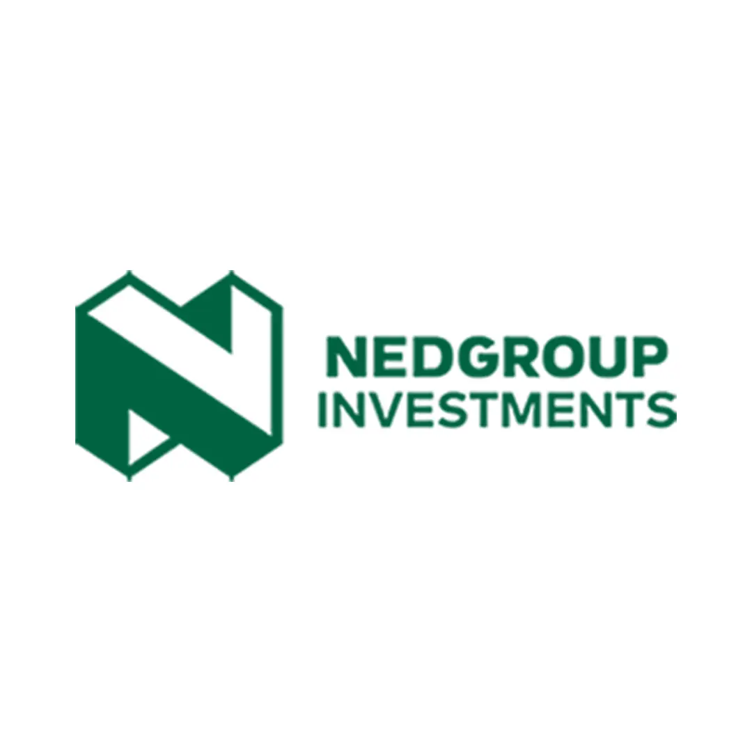 Veronica Theunissen - Nedgroup Investments
