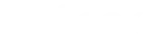 flock-logo