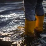 flood insurance