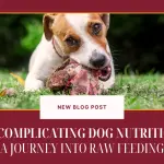 Uncomplicating Dog Nutrition- A Journey into Raw Feeding