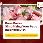 Bone Basics- Simplifying Your Pet's Balanced Diet