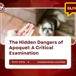 The Hidden Dangers of Apoquel- A Critical Examination