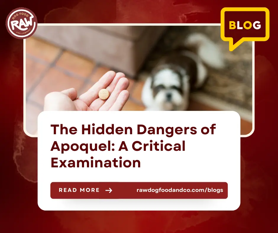 The Hidden Dangers of Apoquel- A Critical Examination