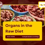 Organs in the Raw Diet